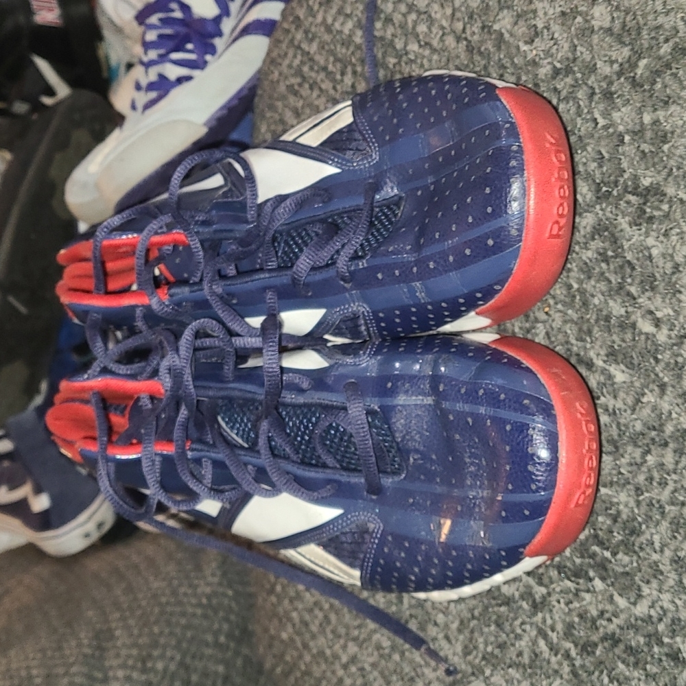 Mens rebook zig nano high top